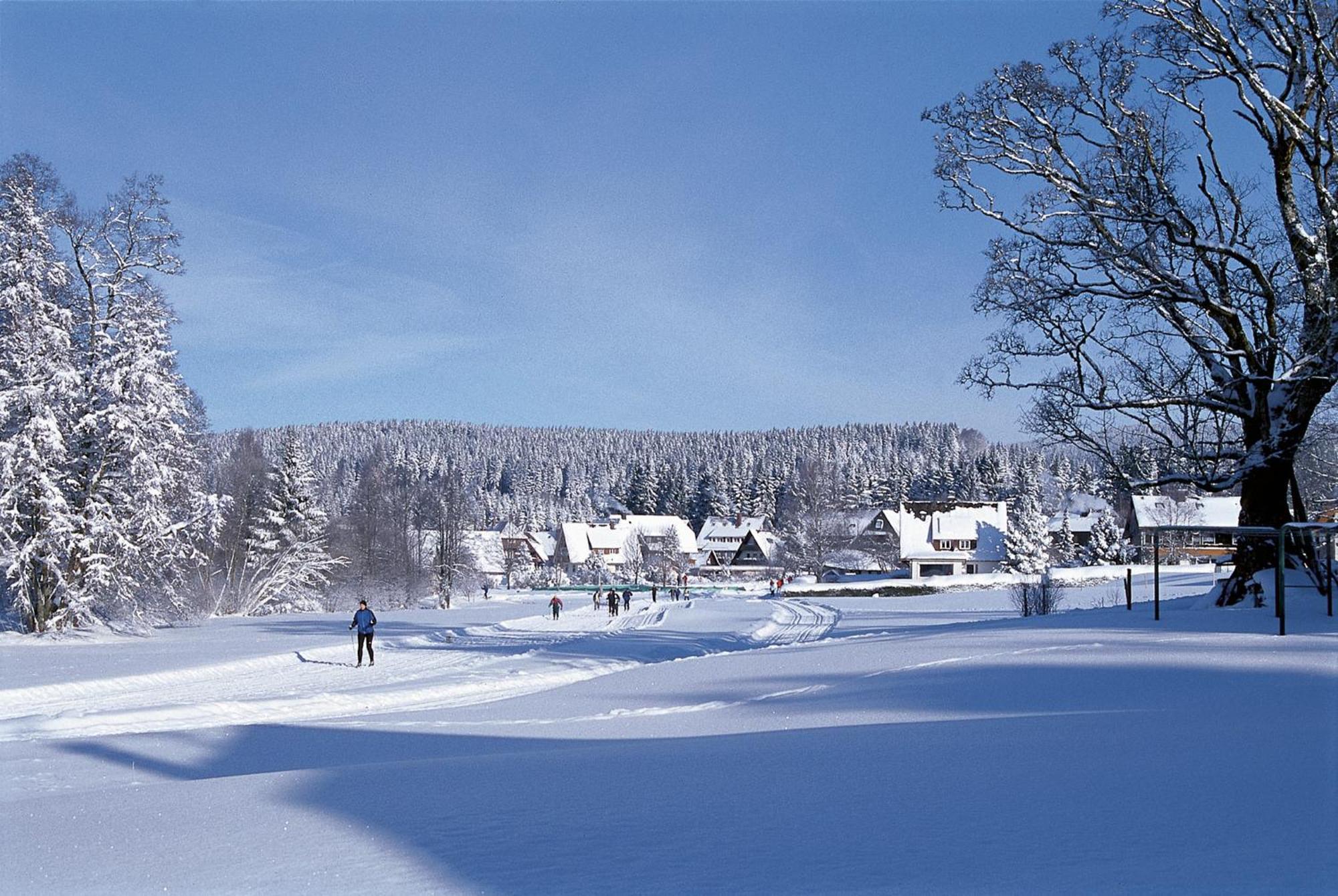 Drei Tannen - Wohnung 04 - Apartmenthaus, Titisee, Nahe Badeparadies Esterno foto