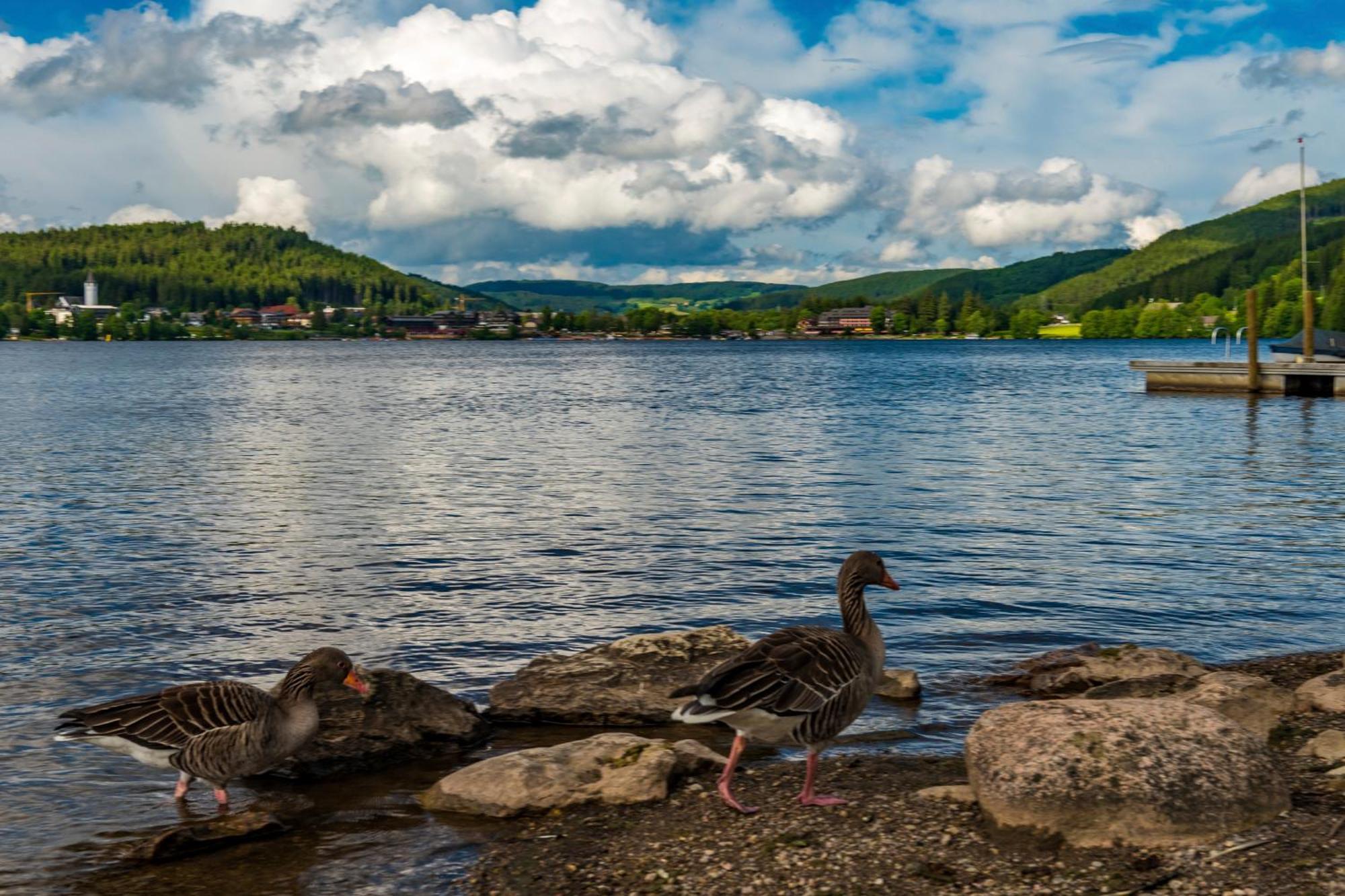 Drei Tannen - Wohnung 04 - Apartmenthaus, Titisee, Nahe Badeparadies Esterno foto