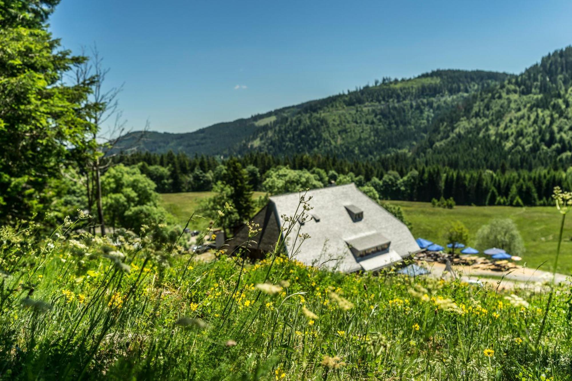 Drei Tannen - Wohnung 04 - Apartmenthaus, Titisee, Nahe Badeparadies Esterno foto