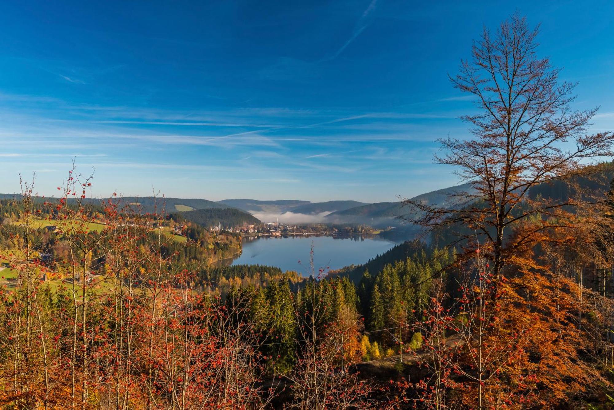 Drei Tannen - Wohnung 04 - Apartmenthaus, Titisee, Nahe Badeparadies Esterno foto